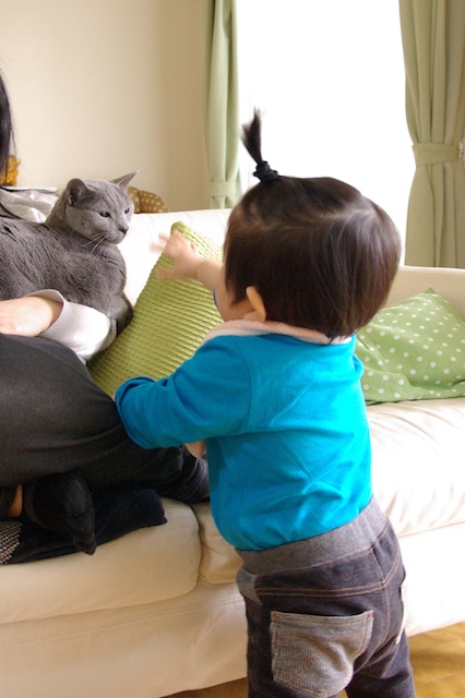 猫と子供の関係性。触りたい息子と触られることに慣れてきた猫。: サブロク